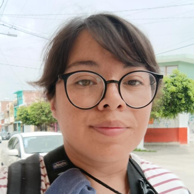 Trabajo para niñera en León: Diana