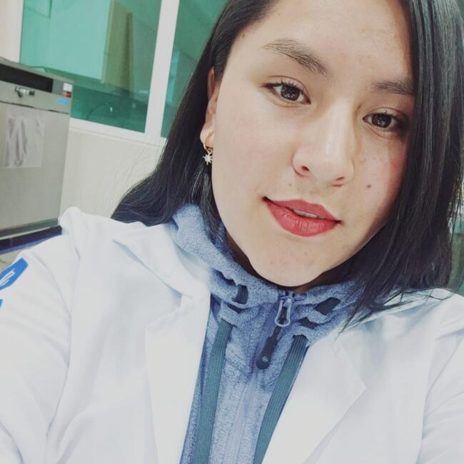 Babysitter in Huancayo: Kerli rojas ventura