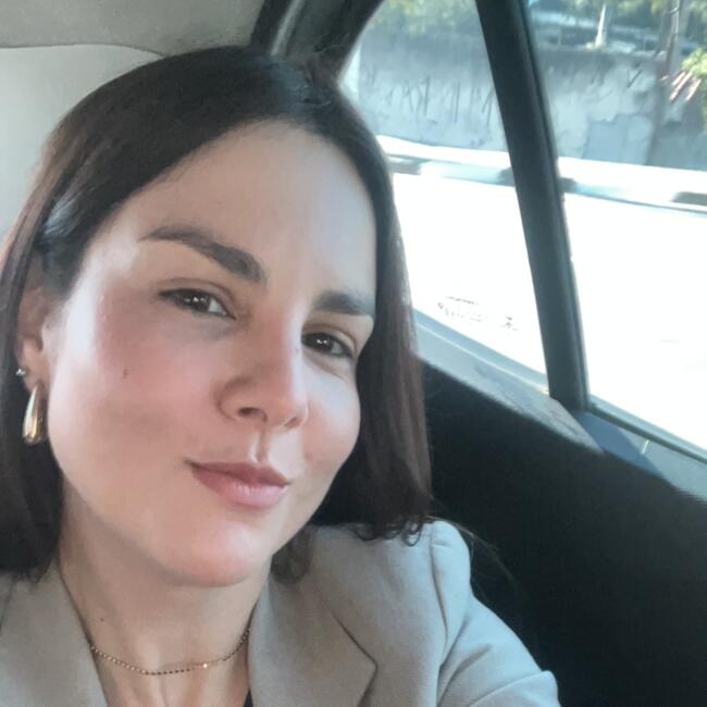 Babysitting job in Mogi das Cruzes: Kelly