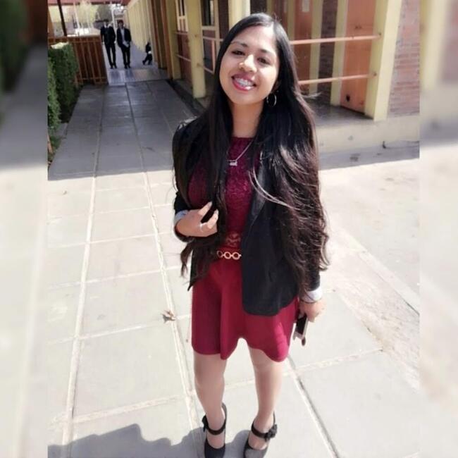 Babysitting job in La Pintana: Javiera