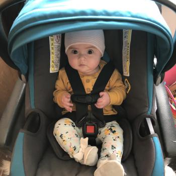 Babysitting job Dunedin: babysitting job Latitia