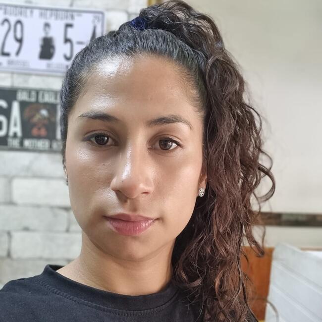 Babysitting job in La Florida: Anderson