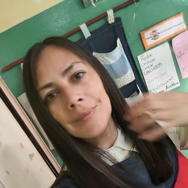 Babysitter in Santa Rosa (Provincia de Mendoza): NATY M.