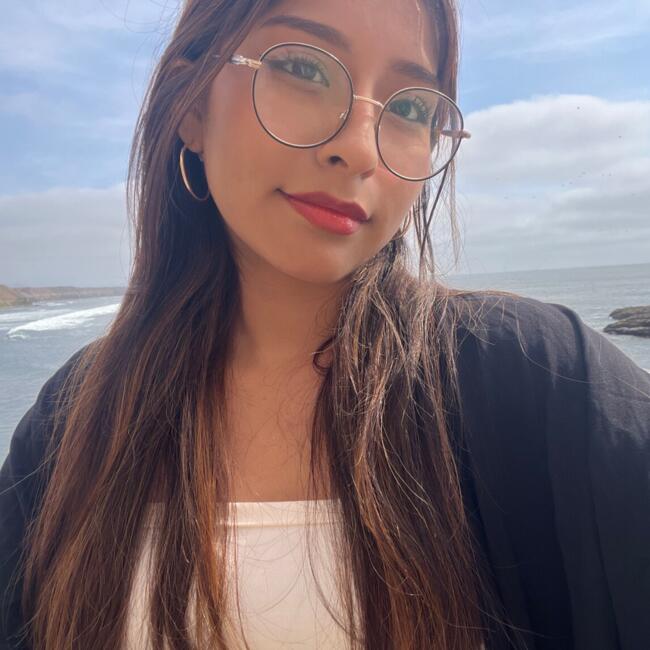 Babysitter in Comas (Departamento de Lima): Greys