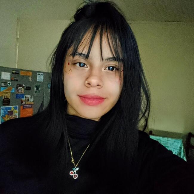 Babysitter in Posadas: Sara