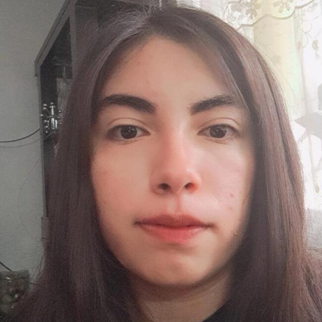 Babysitter in Ciudad Nezahualcoyotl: Ashley