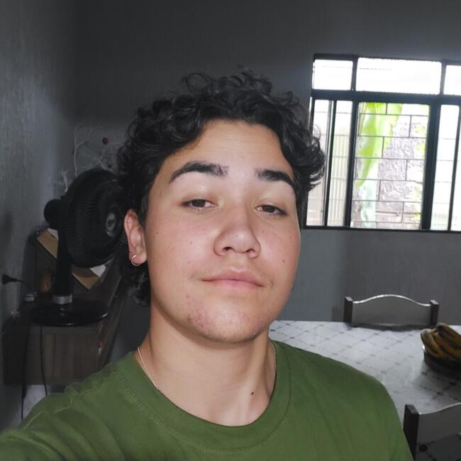 Babysitter in Pinhais: Otto Rafael