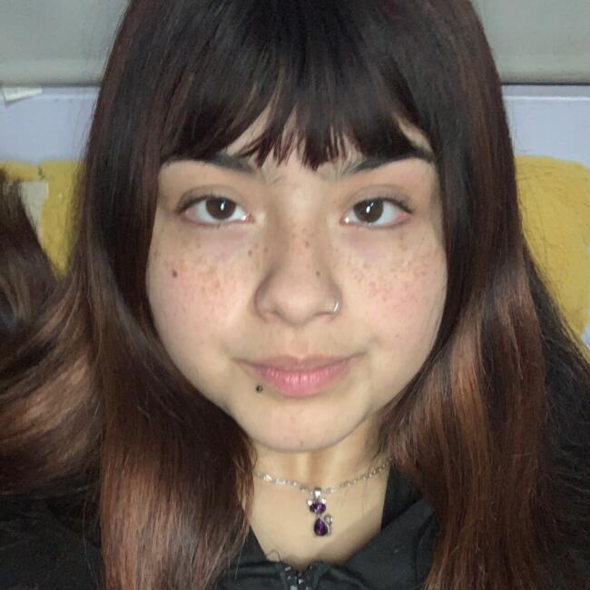 Babysitter in Puente Alto: Sofia