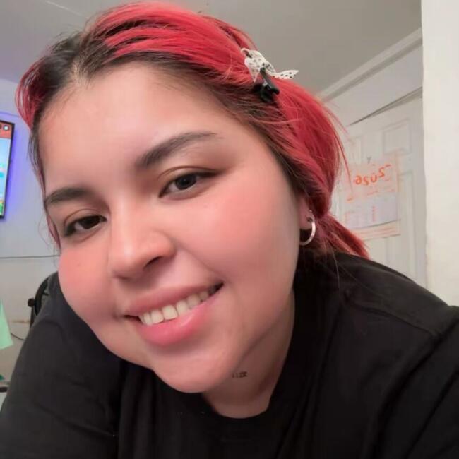 Babysitter in Antofagasta: Dioraida