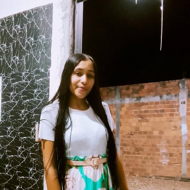 Babysitter in Palmas: Geovanna