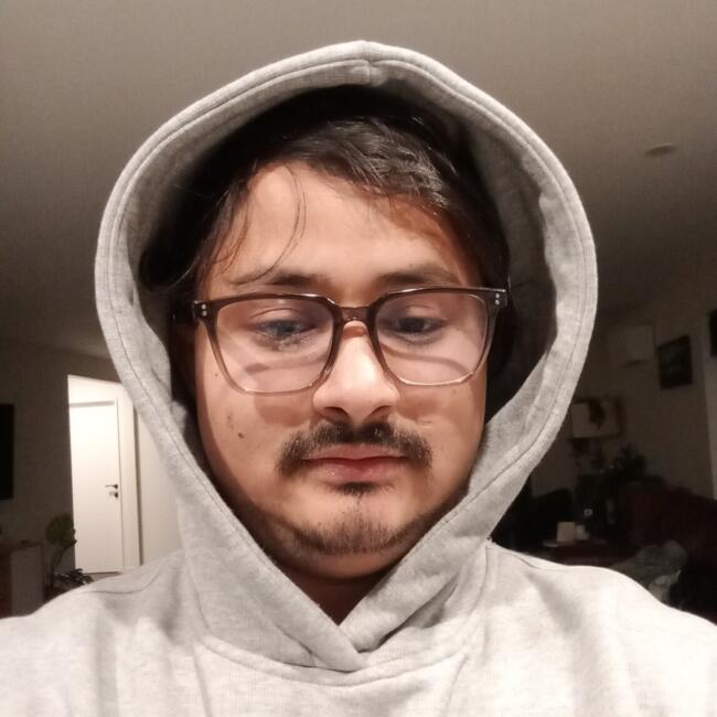Babysitter in Lincoln: Ashok
