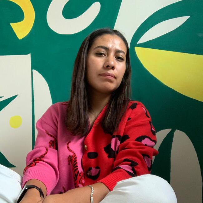 Babysitter in Mexico City: Polett