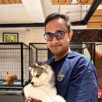 हैदराबाद में बेबीसिटिंग की नौकरी: बेबीसिटिंग से जुड़े काम Hiranmai