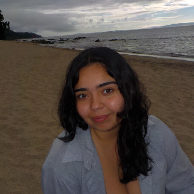 Babysitter in Concepción: Pollette