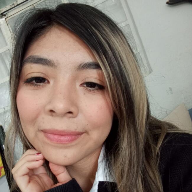 Babysitter in San Luis Potosí City: Dana