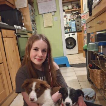Babysitter in Craughwell: Emily