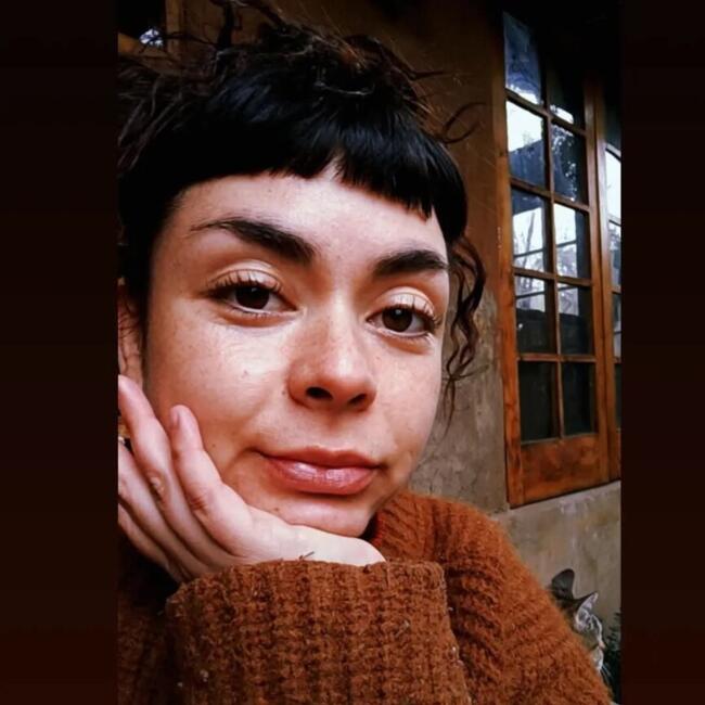 Babysitter in Los Andes: Panambí