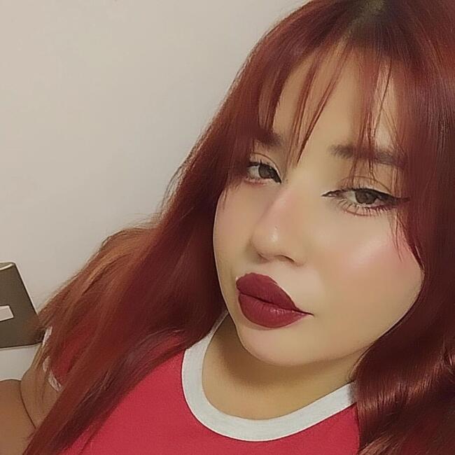 Babysitting job in Calama: Claudia