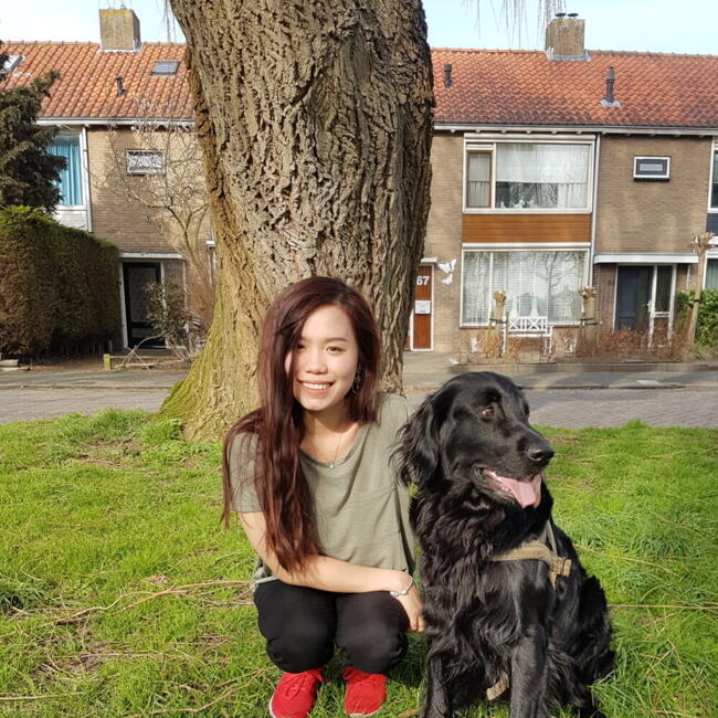 Babysitter in Cologne: Nhi