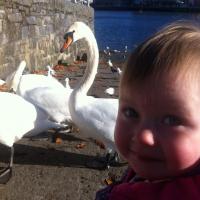 Parent Limerick (Leinster): babysitting job David