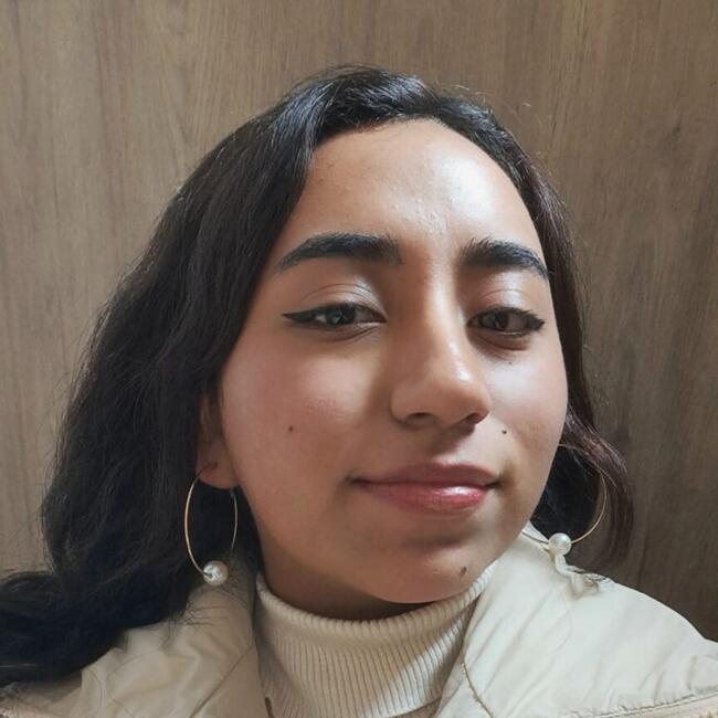 Babysitter in San Pedro de la Paz: Krishna