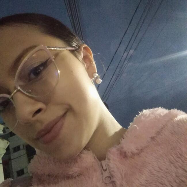 Babysitter in Santa Rosa de Cabal: Michel