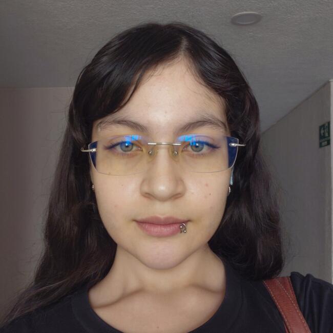 Niñera en Pereira: Nashua