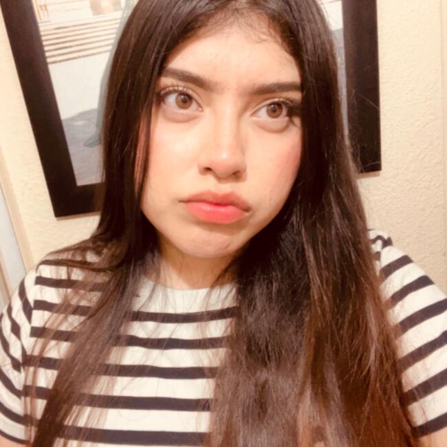 Niñera en San Luis Potosí: Ilse