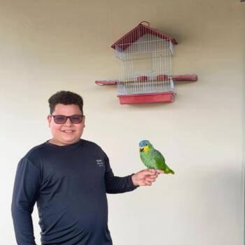 Emprego de babá em Ananindeua: emprego de babá Felipe