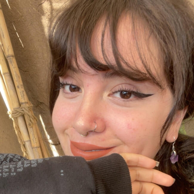 Babysitter in Santiago: Millaray