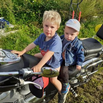 Babysit job in Izegem: babysit jobs Vick