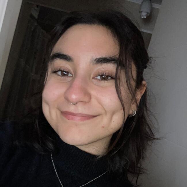 Babysitter in Temuco: Camila