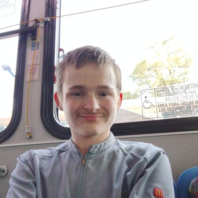 Babysitter in Fort Wayne: Allan