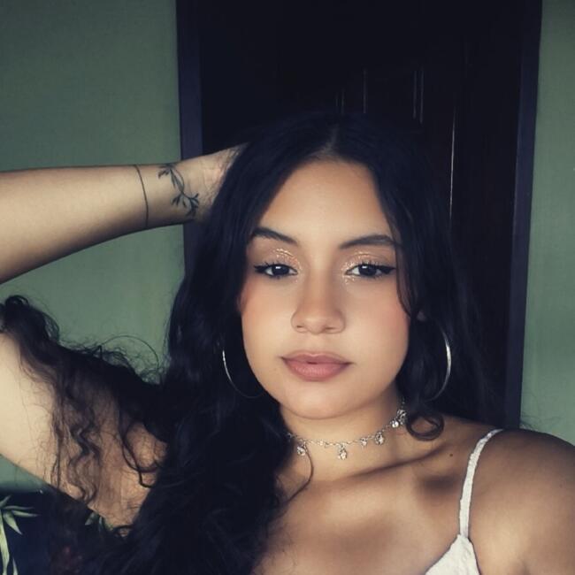 Babysitter in Conselheiro Lafaiete: Aline