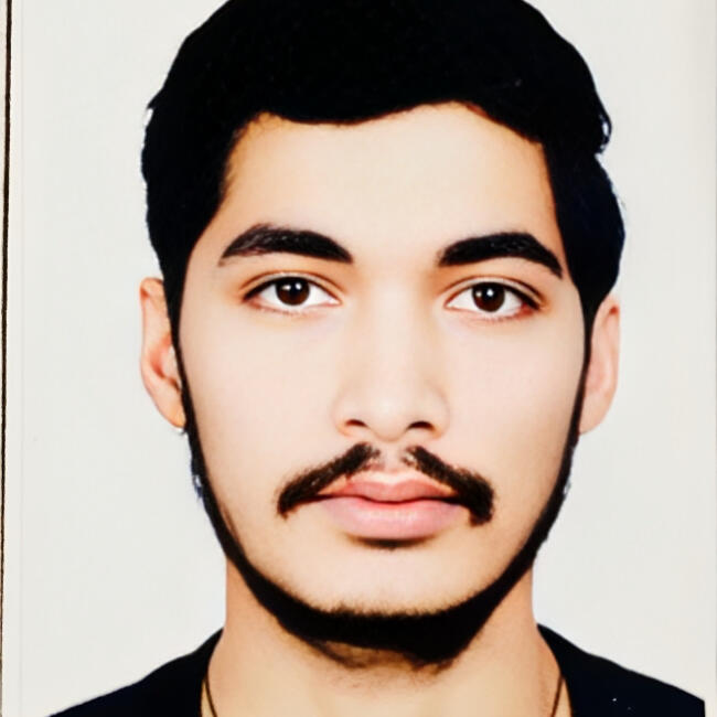 Babysitter in Enns: Prakash