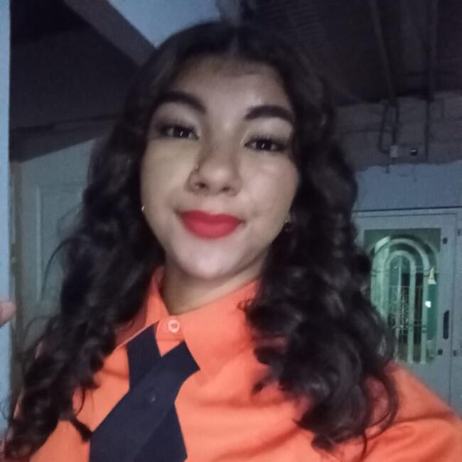 Babysitter in Chepo: Janelis