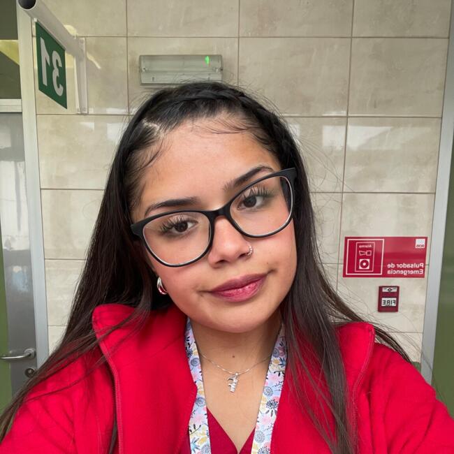 Babysitter in Concepción: Francisca