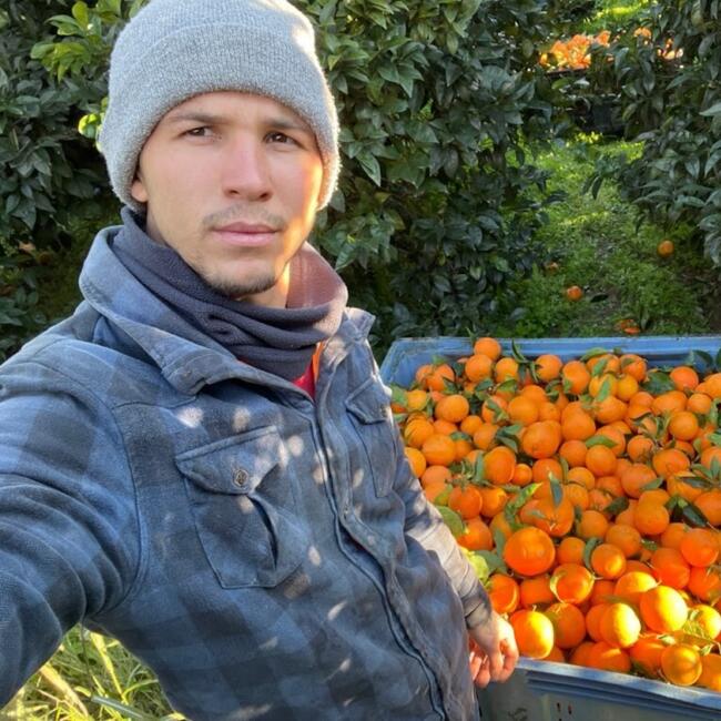 Babysitting job in Nogarole Rocca: Petru