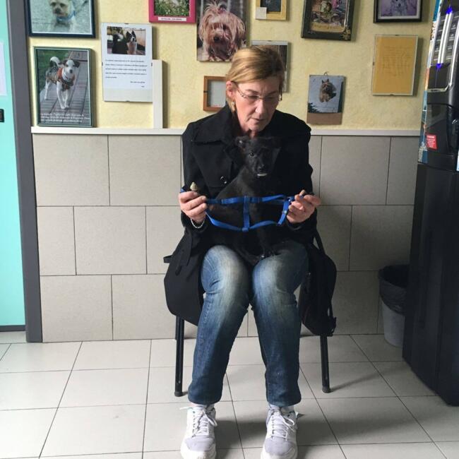 Babysitter in Modena: Simona