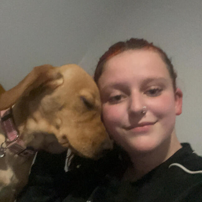 Babysitter in Bangor (Northern Ireland): Chloe