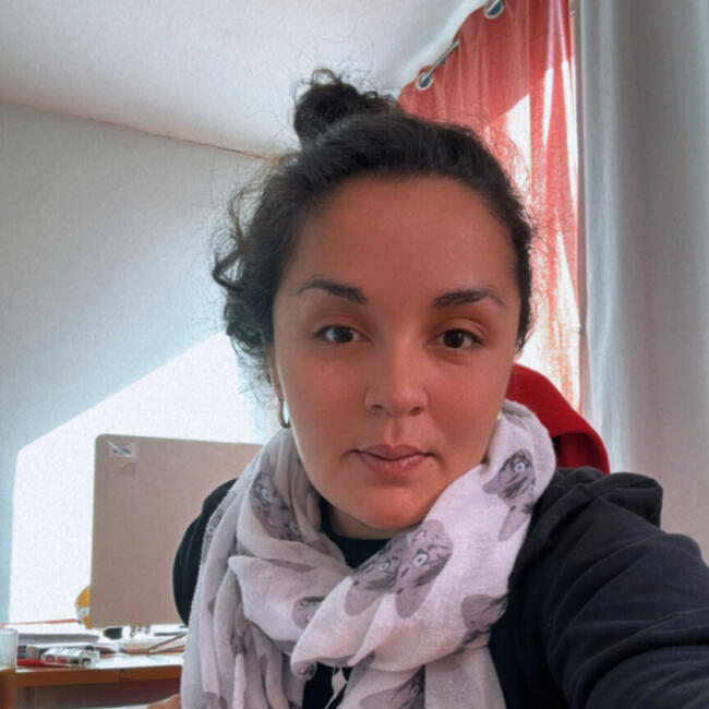 Babysitting job in Santiago: Valentina