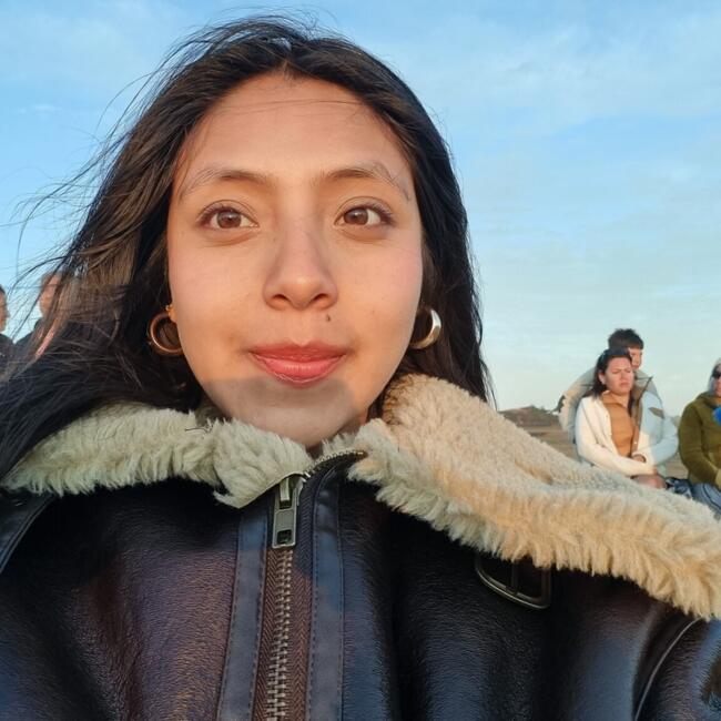 Babysitter in Santiago: Francheska