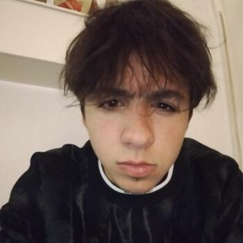 Canguro en Vacarisses: Nil