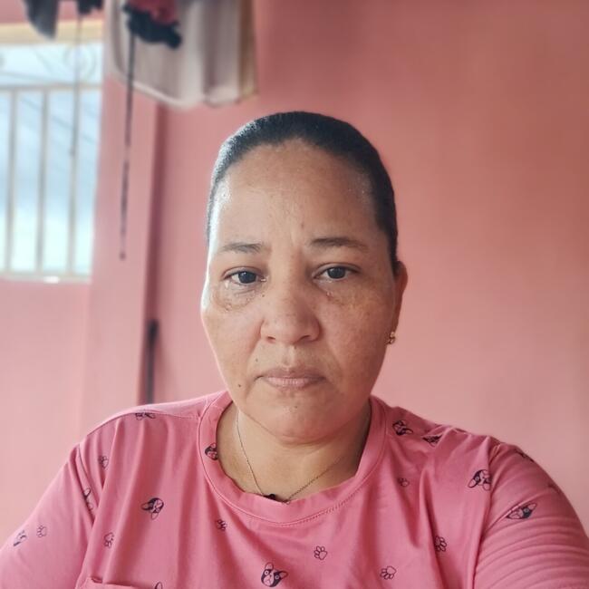Babysitter in Panama-stad: Ludis